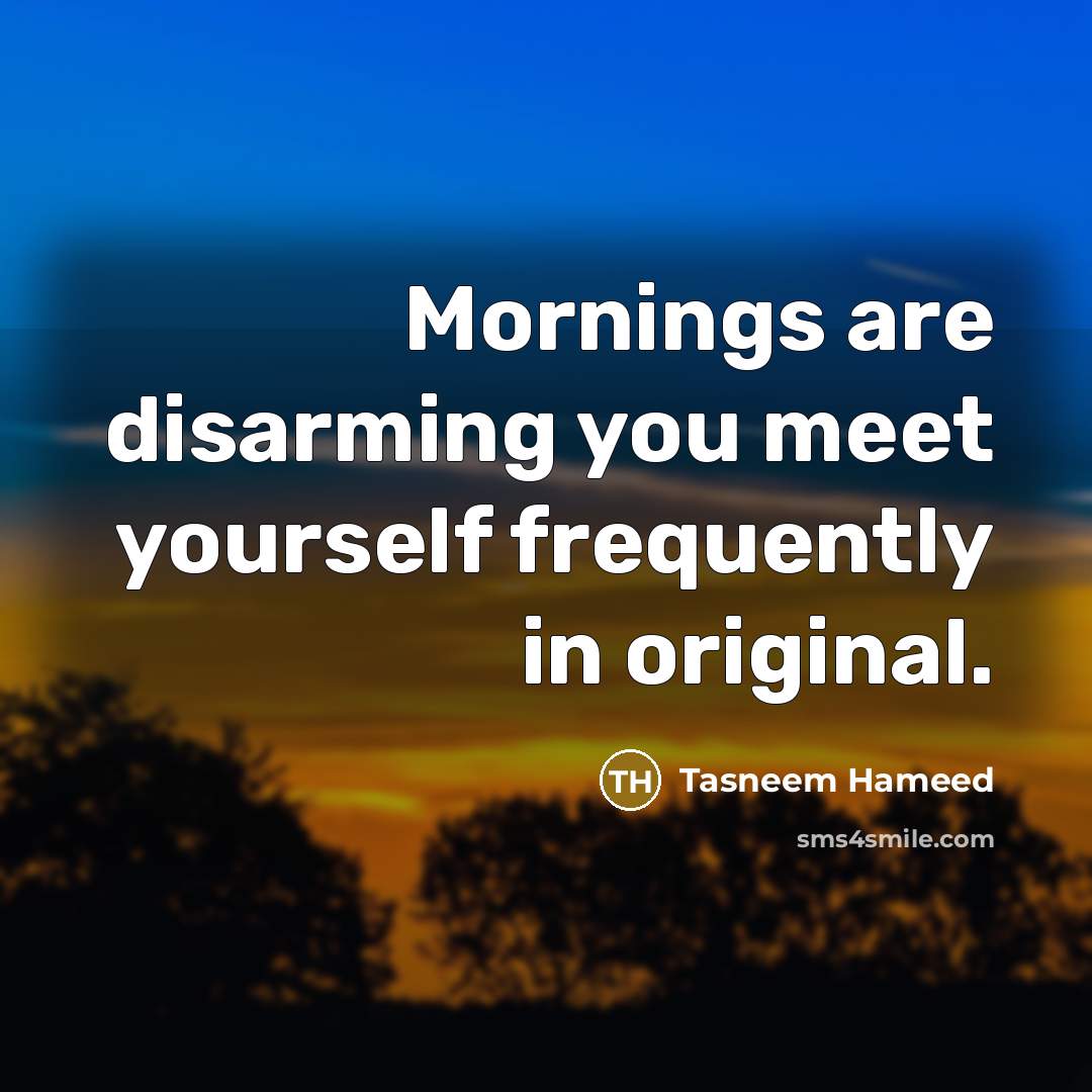 “Mornings are disarming you meet yourself frequently in original.…” quote by Tasneem Hameed