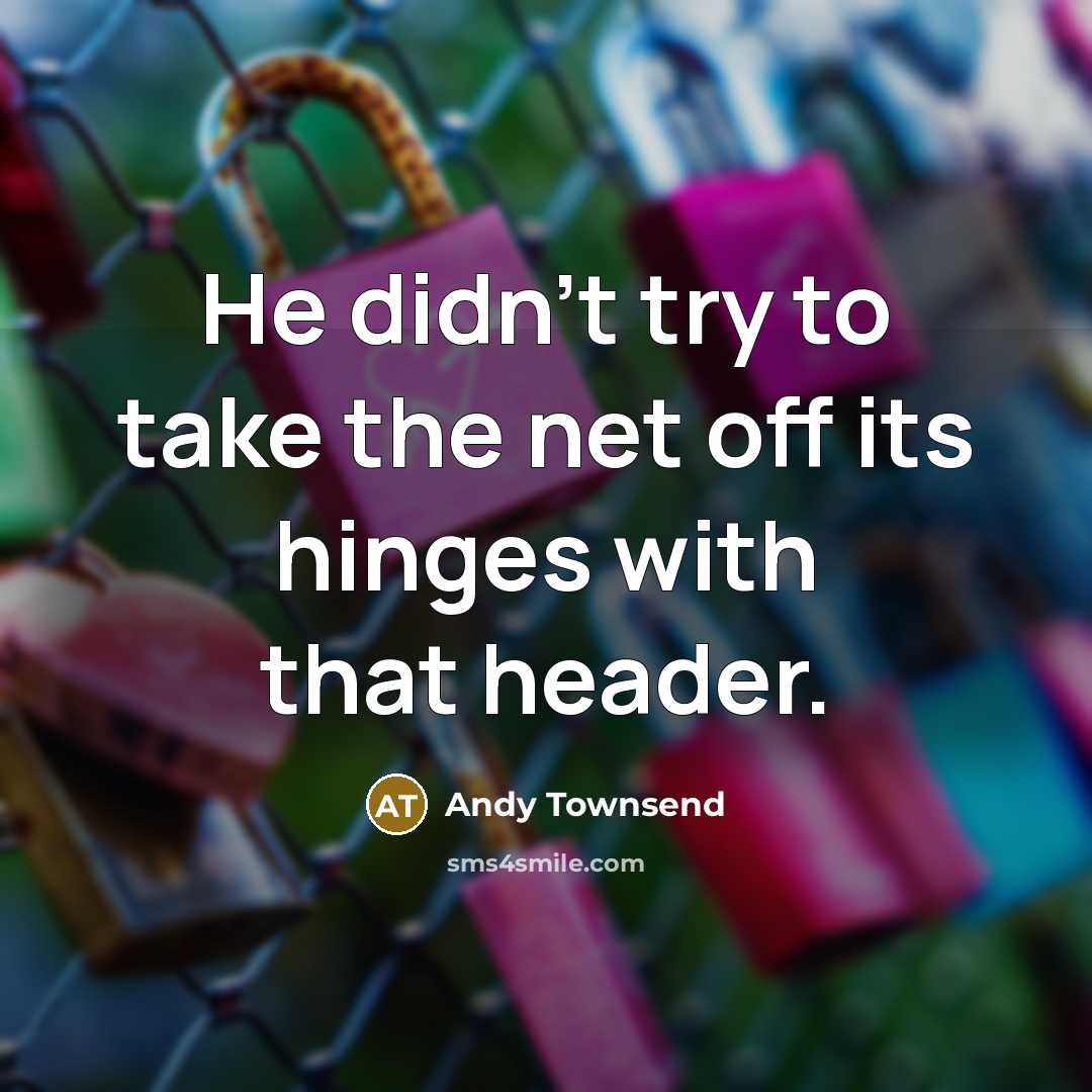 “He didn't try to take the net off its hinges…” quote by Andy Townsend