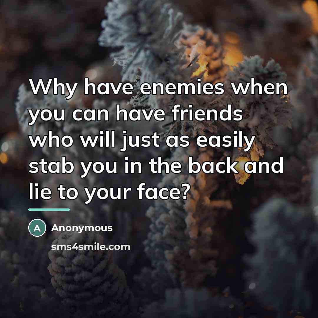 “Why have enemies when you can have friends who will…” quote by Anonymous