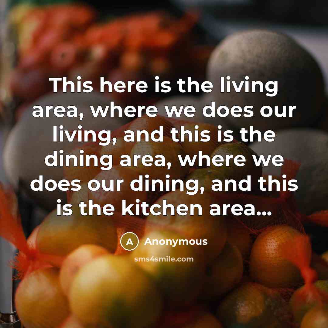 “This here is the living area, where we does our living, and this is the dining area, where we does our dining, and this is the kitchen area...” quote by Anonymous