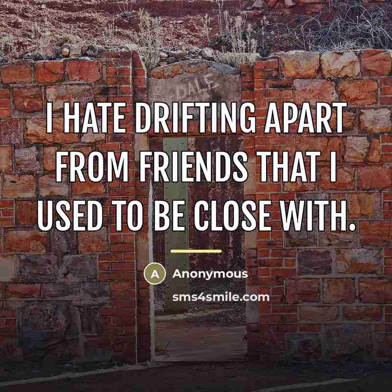“I hate drifting apart from friends that I used to…” quote by Anonymous