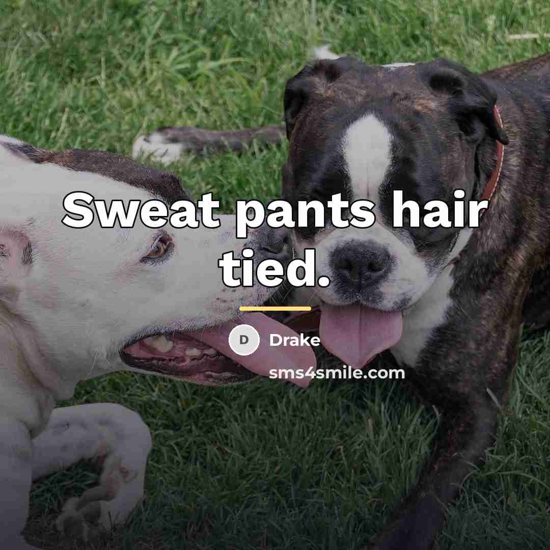 “Sweat pants hair tied.…” quote by Drake