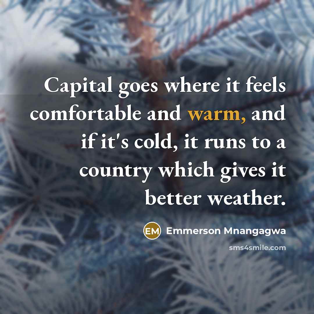 “Capital goes where it feels comfortable and warm, and if…” quote by Emmerson Mnangagwa