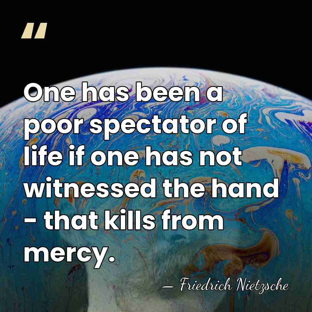 One has been a poor spectator of life if one has not&hellip; - Friedrich Nietzsche