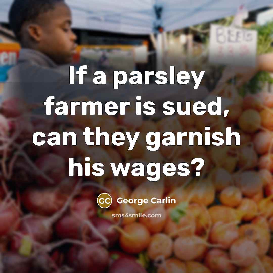 “If a parsley farmer is sued, can they garnish his…” quote by George Carlin