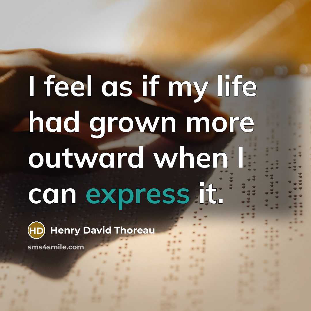 “I feel as if my life had grown more outward…” quote by Henry David Thoreau
