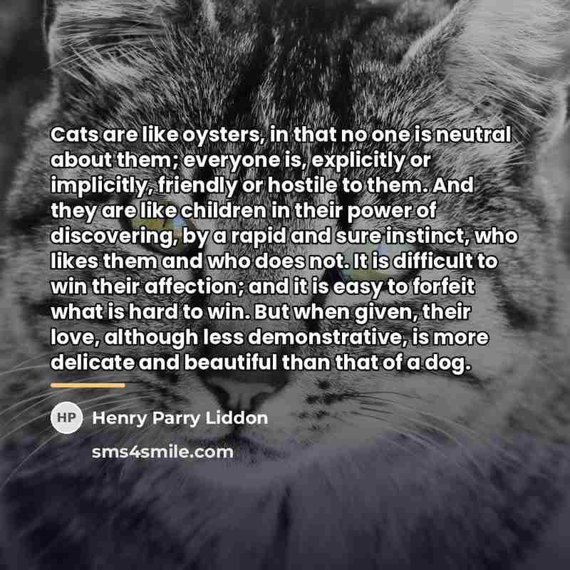 “Cats are like oysters, in that no one is neutral…” quote by Henry Parry Liddon