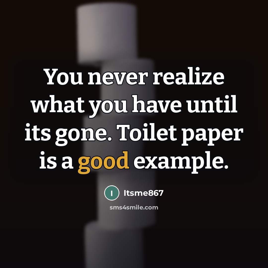 “You never realize what you have until its gone. Toilet…” quote by Itsme867