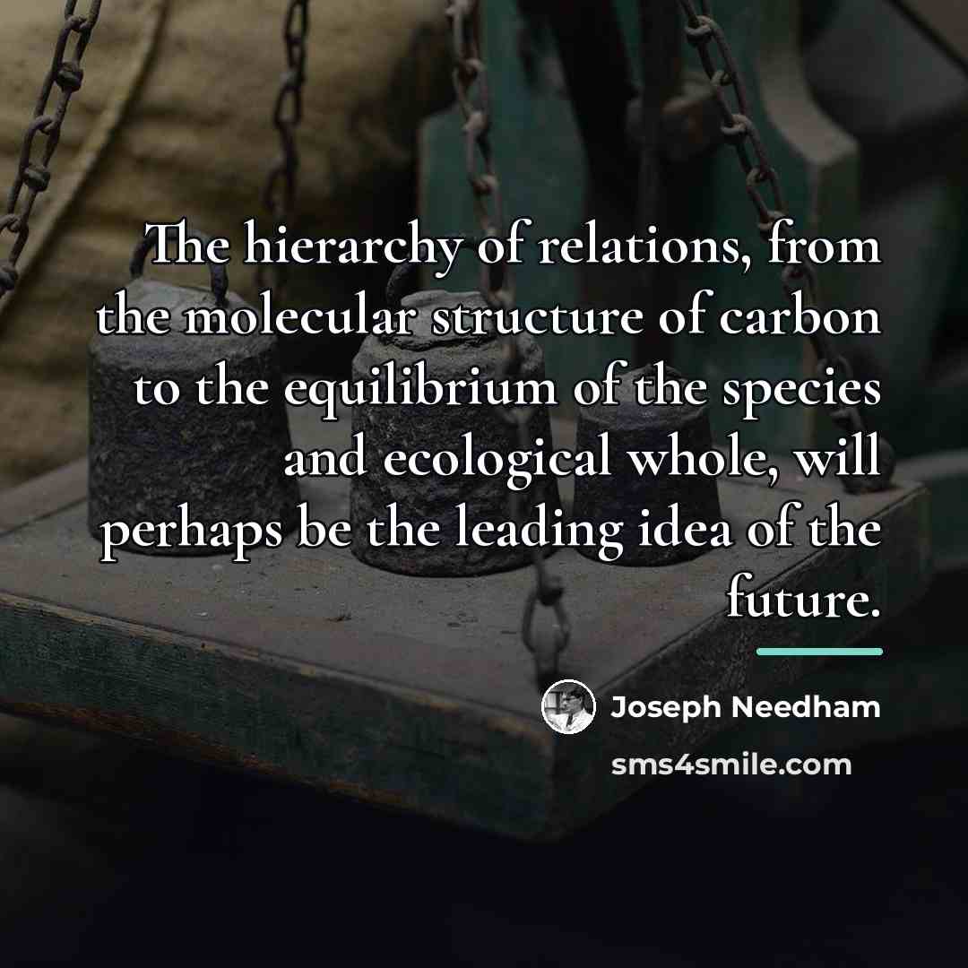 “The hierarchy of relations, from the molecular structure of carbon…” quote by Joseph Needham