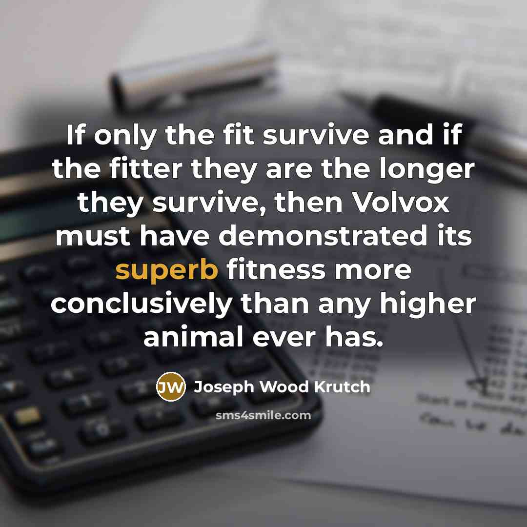 “If only the fit survive and if the fitter they…” quote by Joseph Wood Krutch