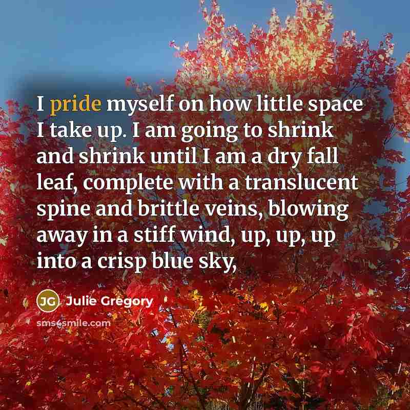 “I pride myself on how little space I take up.…” quote by Julie Gregory