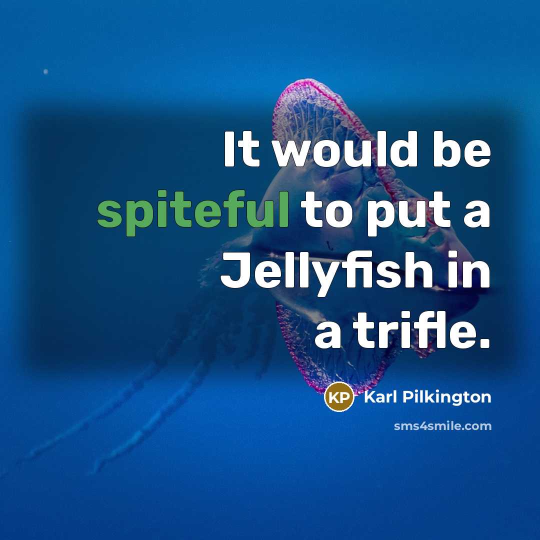 “It would be spiteful to put a Jellyfish in a…” quote by Karl Pilkington
