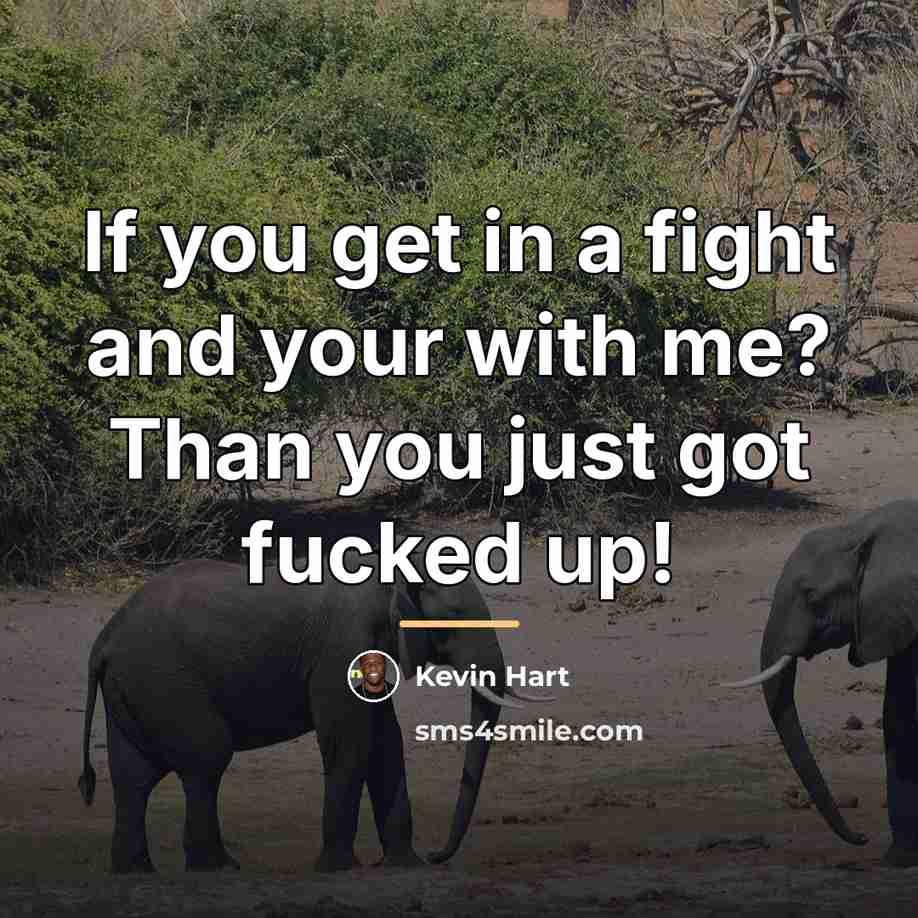“If you get in a fight and your with me?…” quote by Kevin Hart