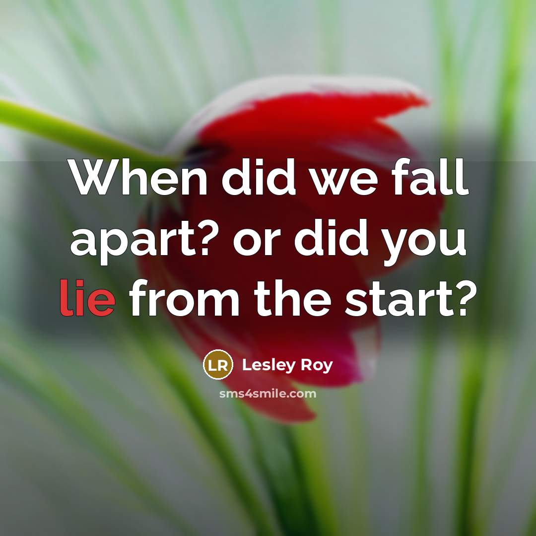“When did we fall apart? or did you lie from the start?” quote by Lesley Roy