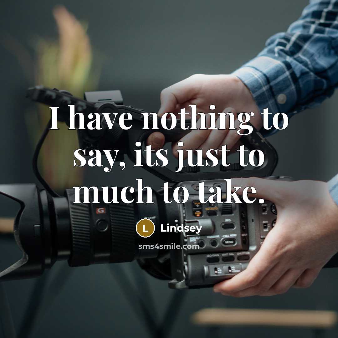 “I have nothing to say, its just to much to…” quote by Lindsey