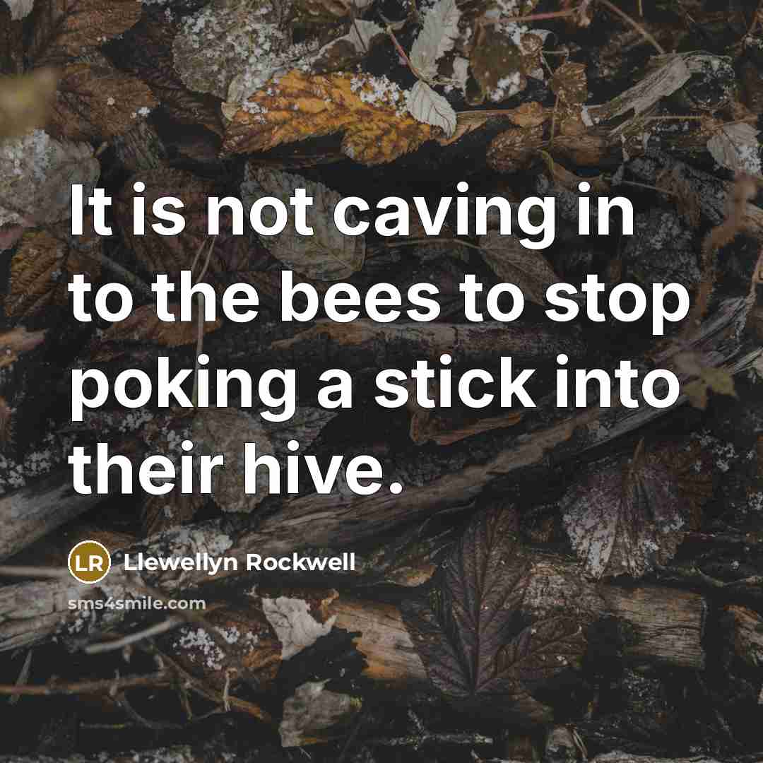 “It is not caving in to the bees to stop…” quote by Llewellyn Rockwell