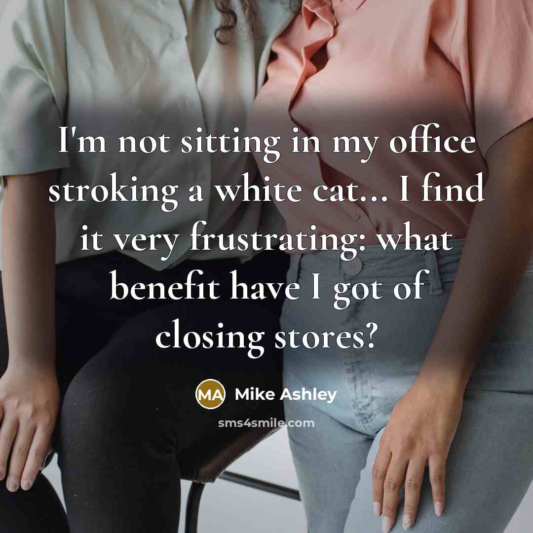 “I'm not sitting in my office stroking a white cat...…” quote by Mike Ashley