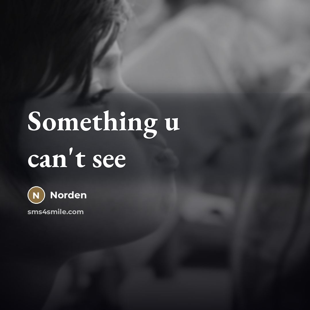 “Something u can't see…” quote by Norden
