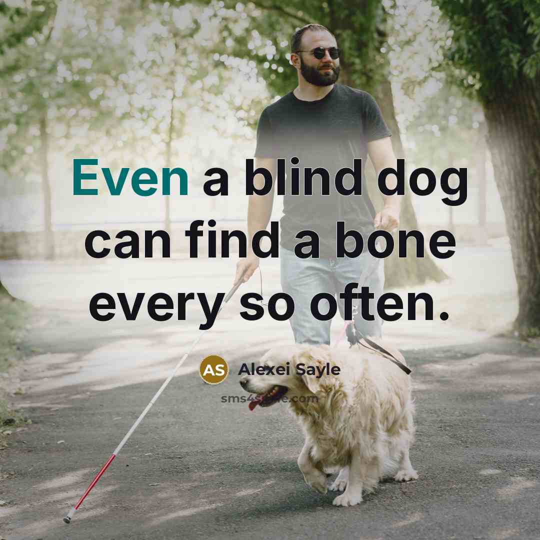 “Even a blind dog can find a bone every so…” quote by Alexei Sayle