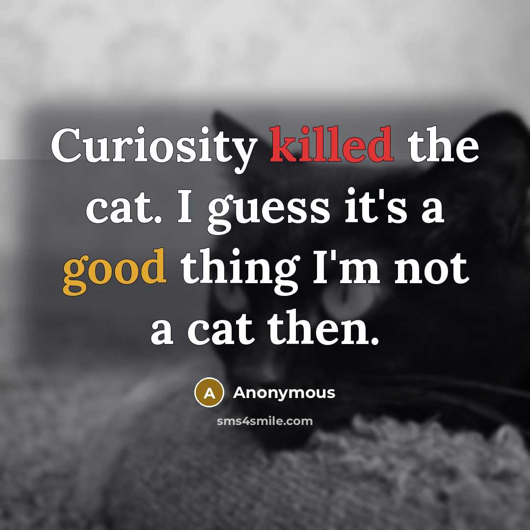 “Curiosity killed the cat. I guess it's a good thing I'm not a cat then.” quote by Anonymous