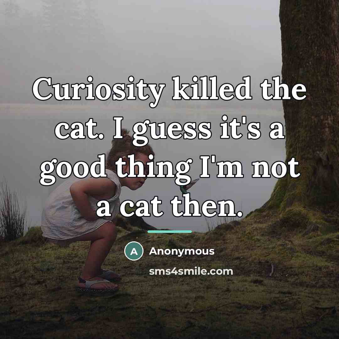 “Curiosity killed the cat. I guess it's a good thing…” quote by Anonymous
