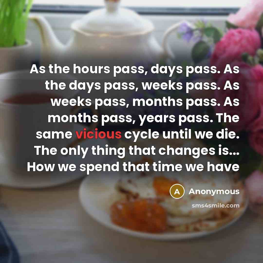 “As the hours pass, days pass. As the days pass,…” quote by Anonymous