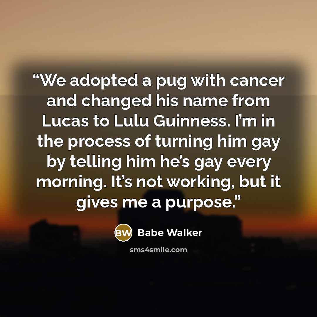 “We adopted a pug with cancer and changed his name from Lucas to Lulu Guinness. I’m in the process of turning him gay by telling him he’s gay every morning. It’s not working, but it gives me a purpose.” quote by Babe Walker