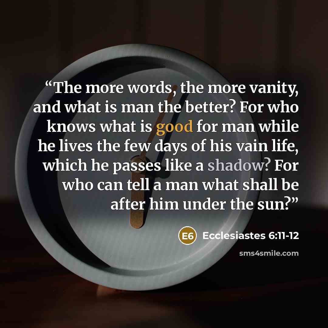 “The more words, the more vanity, and what is man the better? For who knows what is good for man while he lives the few days of his vain life, which he passes like a shadow? For who can tell a man what shall be after him under the sun?” quote by Ecclesiastes 6:11-12