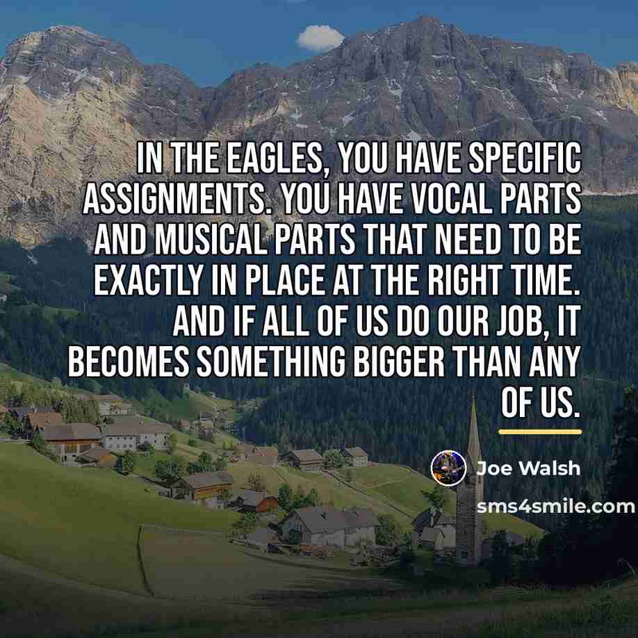 “In the Eagles, you have specific assignments. You have vocal…” quote by Joe Walsh