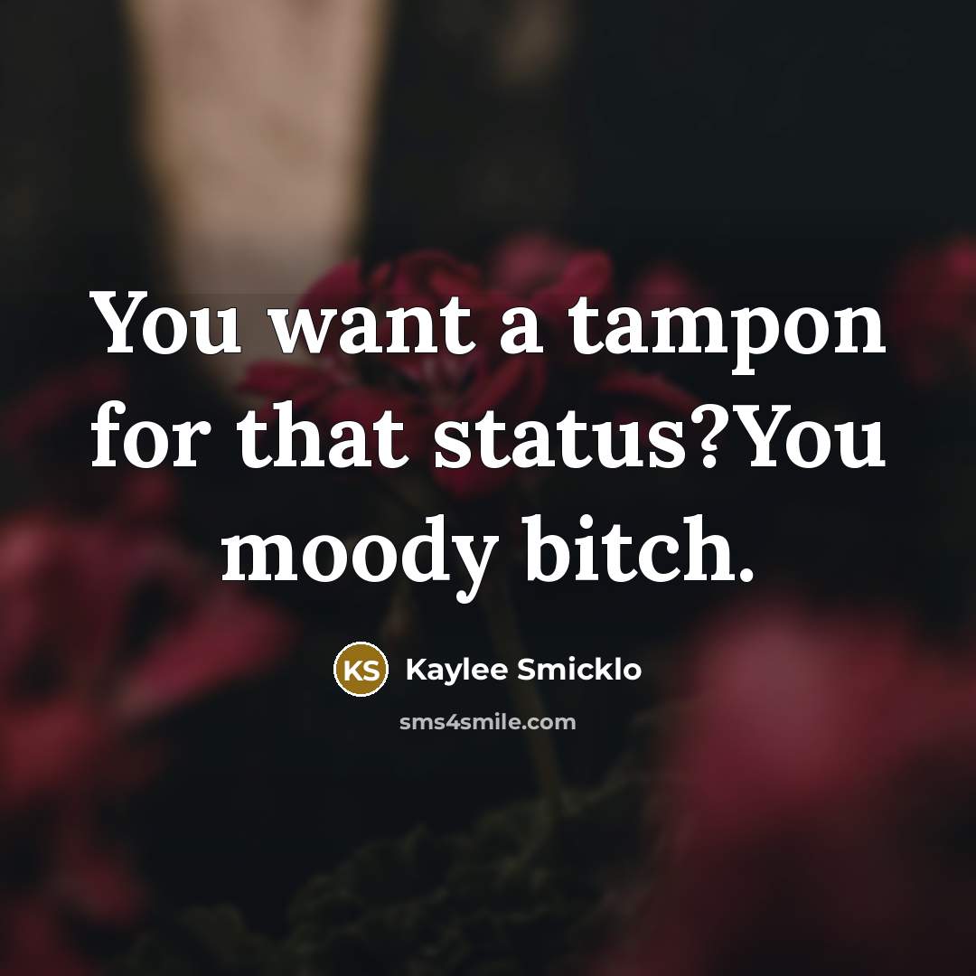 “You want a tampon for that status?You moody bitch.…” quote by Kaylee Smicklo