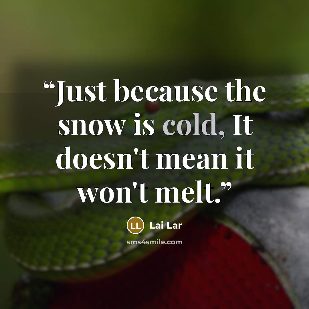“Just because the snow is cold, It doesn't mean it won't melt.” quote by Lai Lar