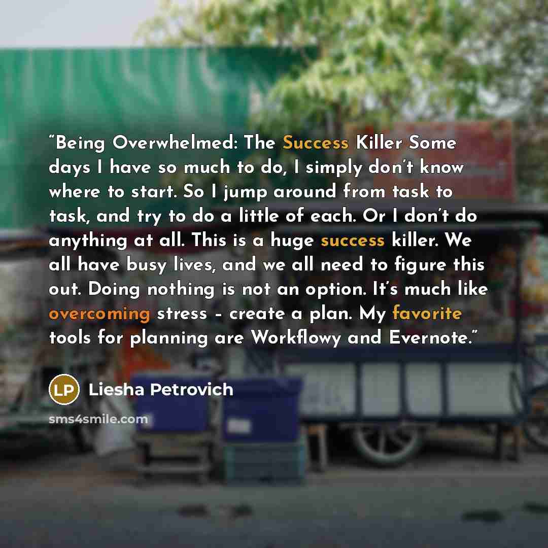 “Being Overwhelmed: The Success Killer Some days I have so much to do, I simply don’t know where to start. So I jump around from task to task, and try to do a little of each. Or I don’t do anything at all. This is a huge success killer. We all have busy lives, and we all need to figure this out…” quote by Liesha Petrovich