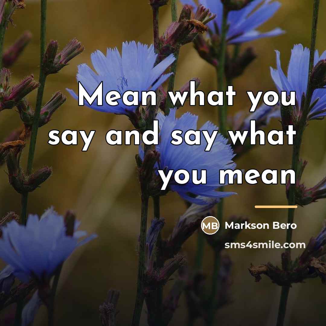 “Mean what you say and say what you mean…” quote by Markson Bero