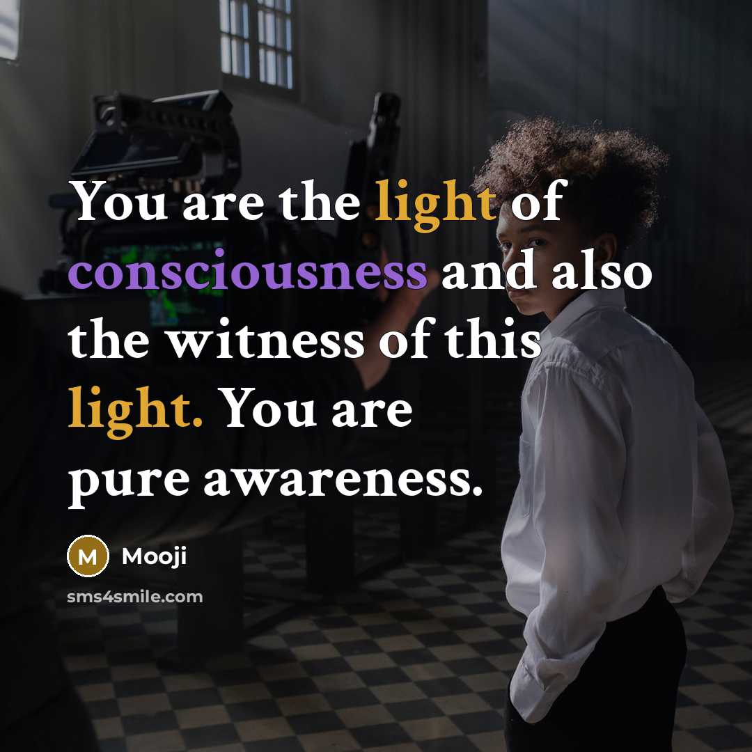 “You are the light of consciousness and also the witness…” quote by Mooji