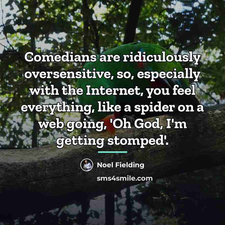 “Comedians are ridiculously oversensitive, so, especially with the Internet, you…” quote by Noel Fielding