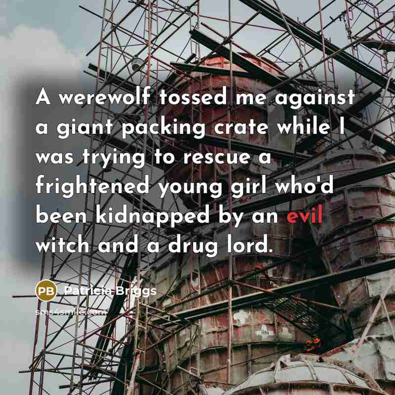 “A werewolf tossed me against a giant packing crate while…” quote by Patricia Briggs