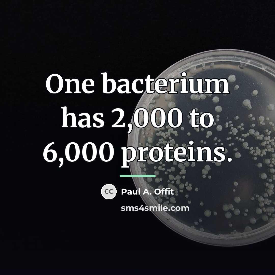 “One bacterium has 2,000 to 6,000 proteins.…” quote by Paul A. Offit