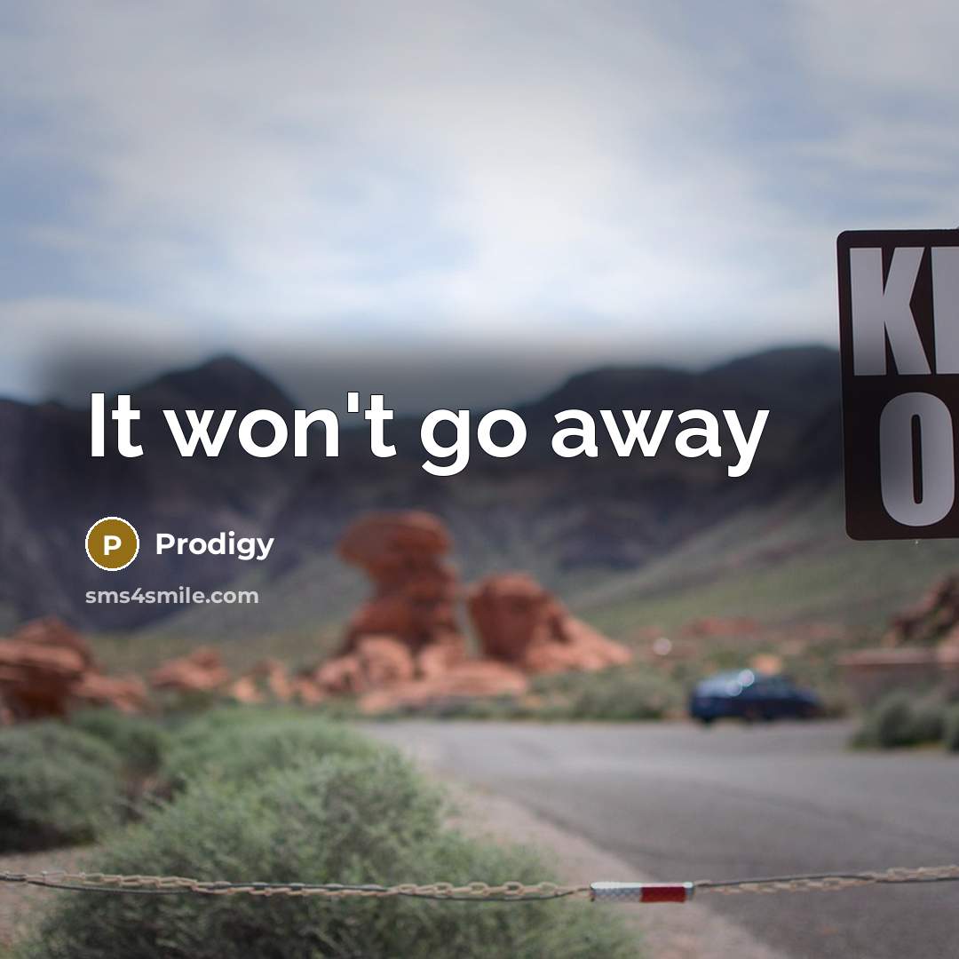 “It won't go away…” quote by Prodigy