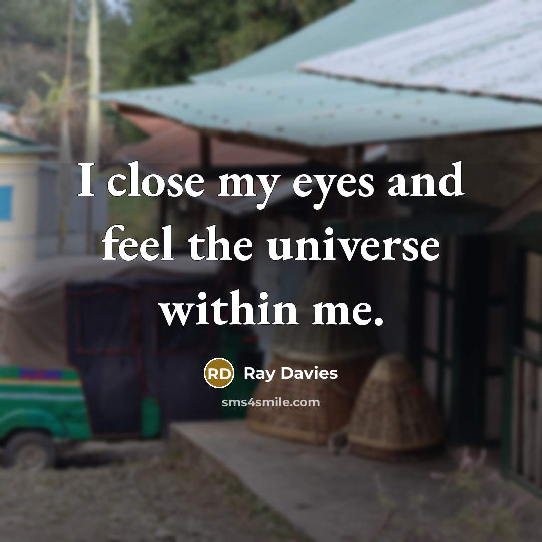 “I close my eyes and feel the universe within me.…” quote by Ray Davies