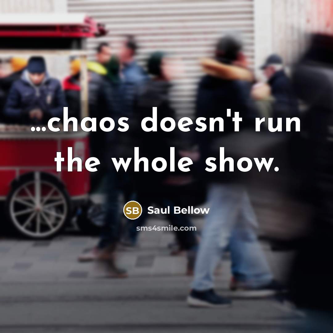 “...chaos doesn't run the whole show.…” quote by Saul Bellow