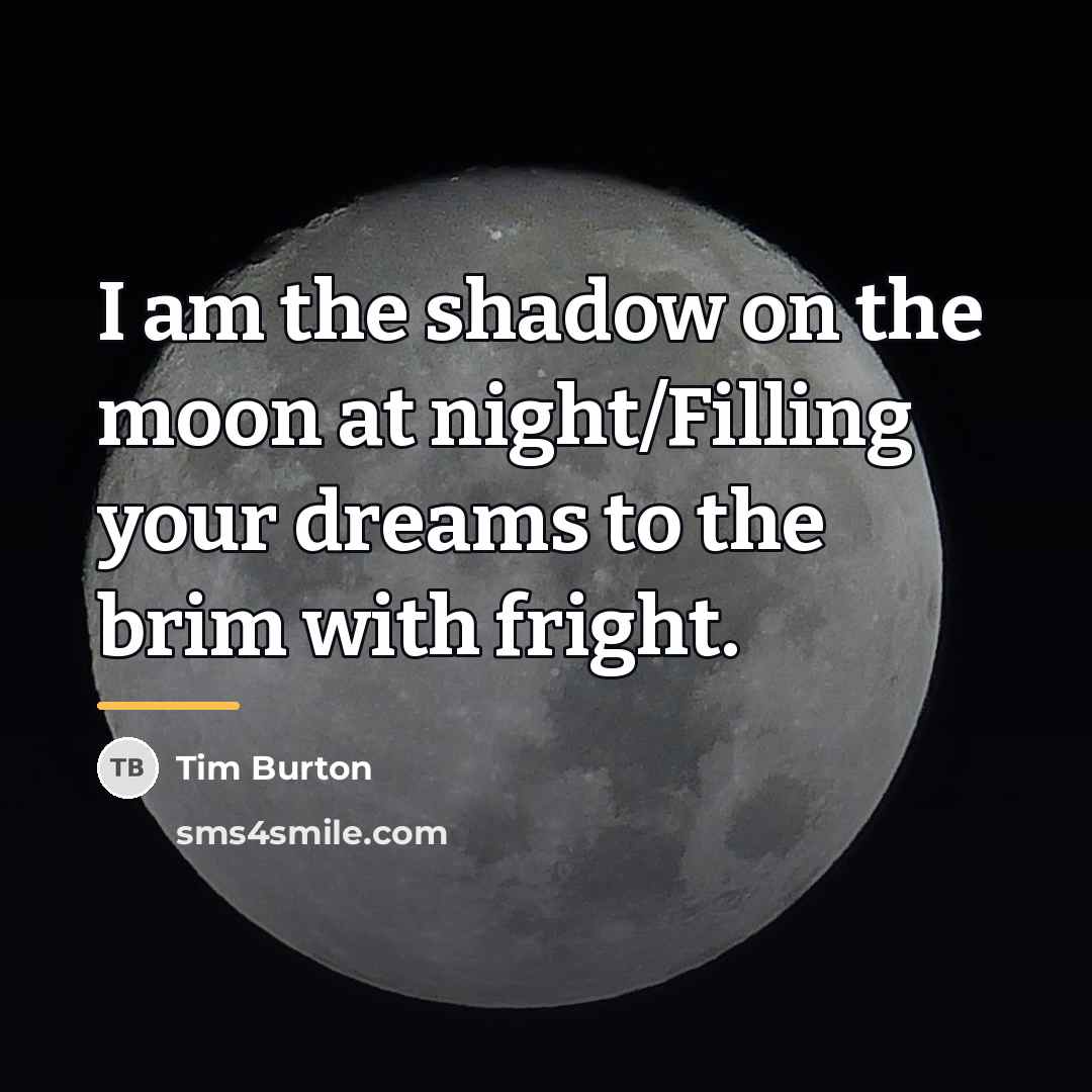 “I am the shadow on the moon at night/Filling your…” quote by Tim Burton