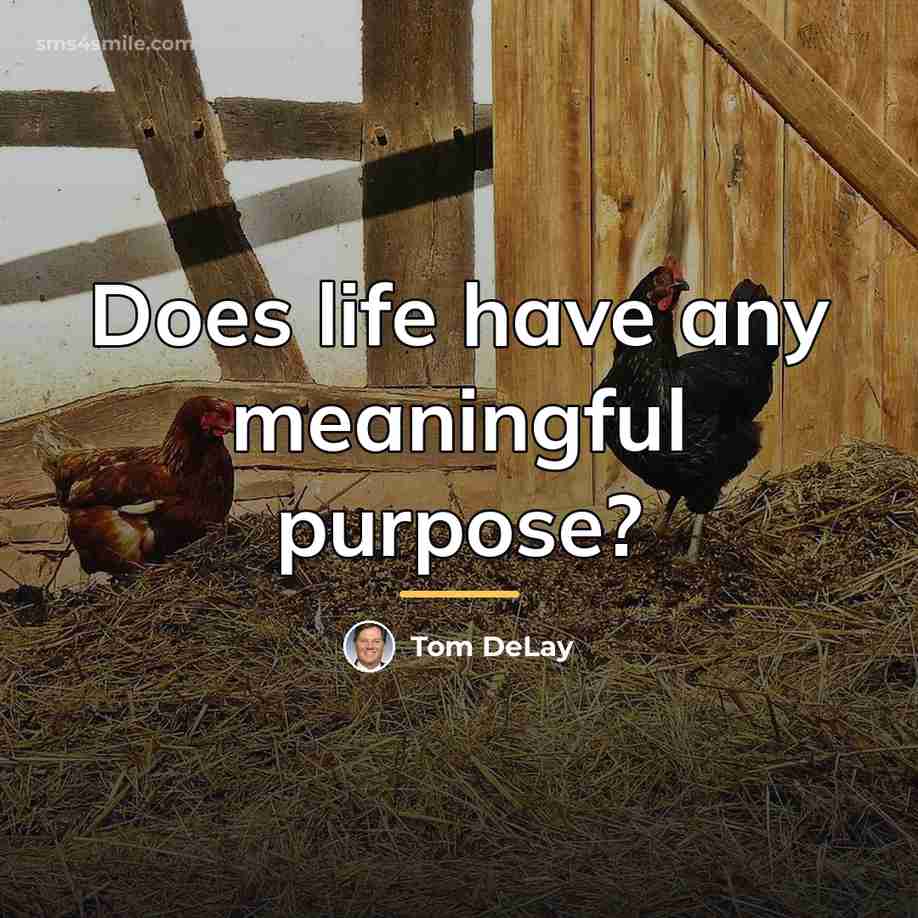 “Does life have any meaningful purpose?…” quote by Tom DeLay