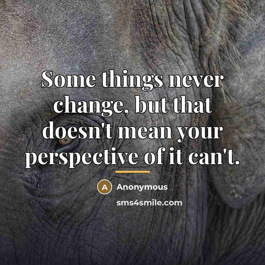 “Some things never change, but that doesn't mean your perspective…” quote by Anonymous