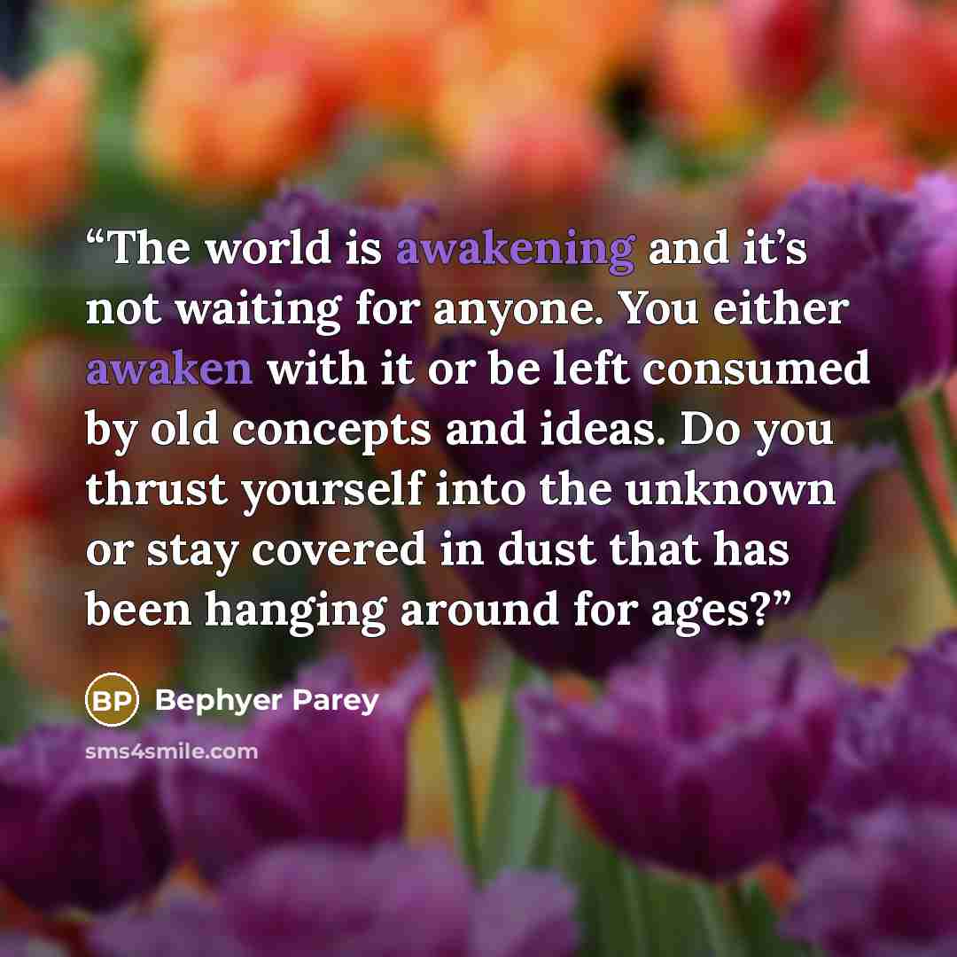 “The world is awakening and it’s not waiting for anyone. You either awaken with it or be left consumed by old concepts and ideas. Do you thrust yourself into the unknown or stay covered in dust that has been hanging around for ages?” quote by Bephyer Parey