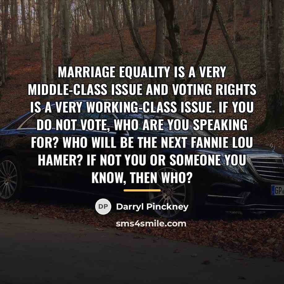 “Marriage equality is a very middle-class issue and voting rights…” quote by Darryl Pinckney