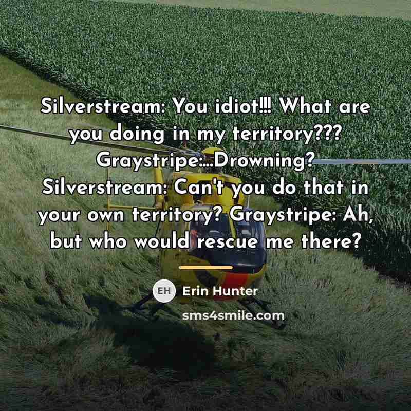 “Silverstream: You idiot!!! What are you doing in my territory???…” quote by Erin Hunter
