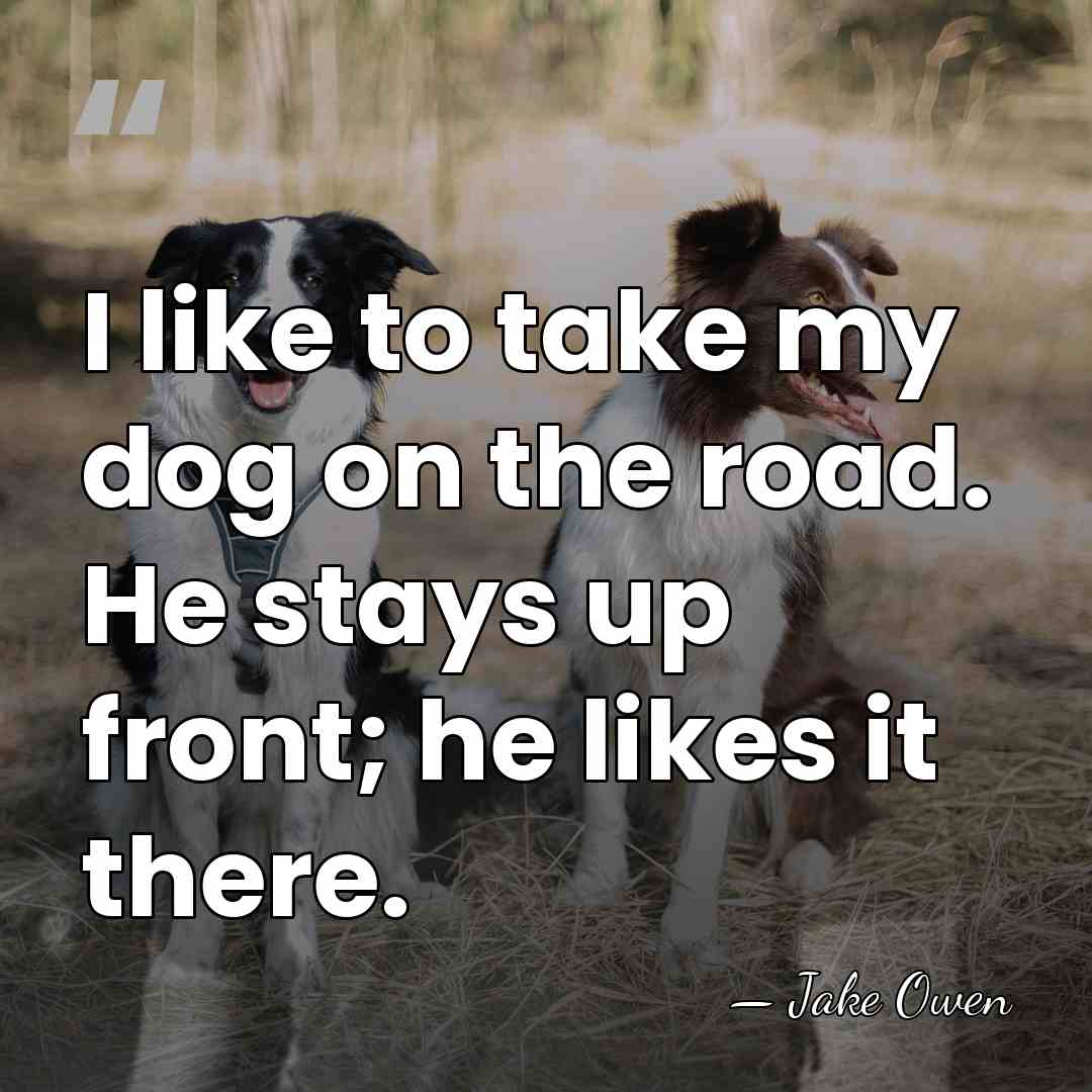 I like to take my dog on the road. He stays up&hellip; - Jake Owen