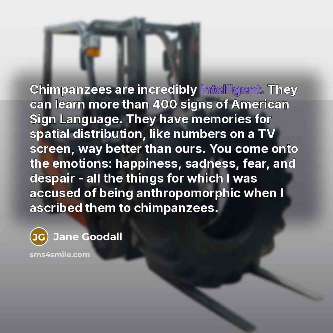 “Chimpanzees are incredibly intelligent. They can learn more than 400…” quote by Jane Goodall