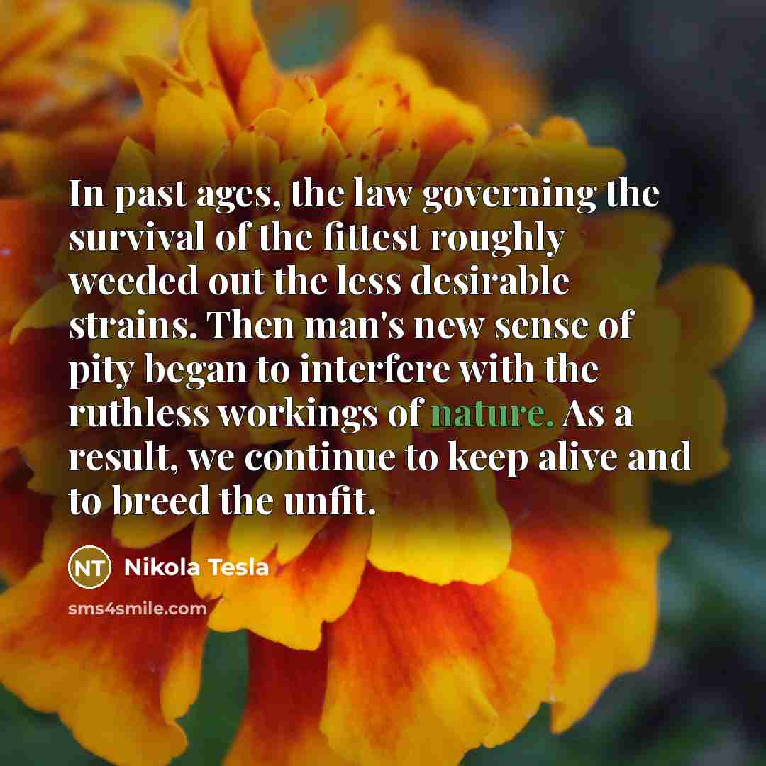 “In past ages, the law governing the survival of the…” quote by Nikola Tesla
