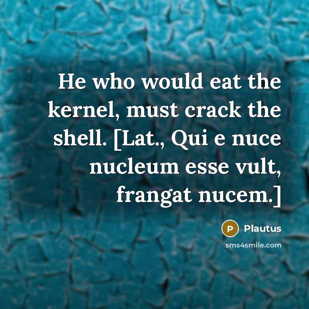 “He who would eat the kernel, must crack the shell.…” quote by Plautus